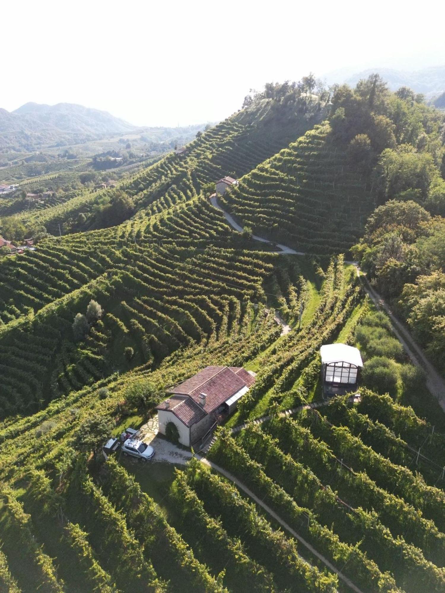 Agriturismo Il Conte Vassallo Miane Extérieur photo